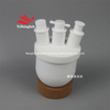 PTFE Four-necked Flask